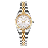 CHENXI Golden & Silver Waterproof Watch...